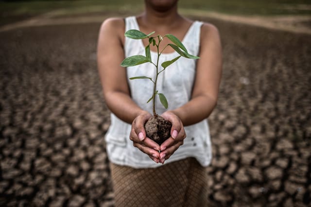 Environnement durable