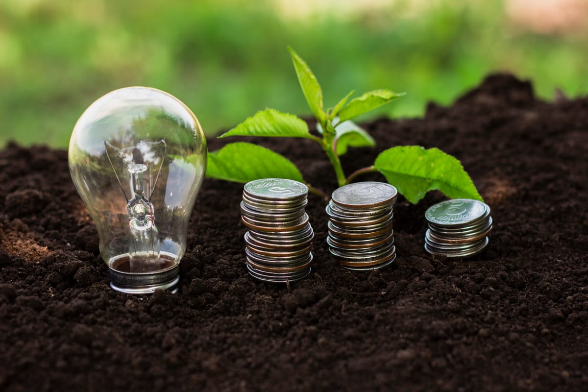 Ampoule et pousse verte symbolisant les leviers d’économie d’énergie